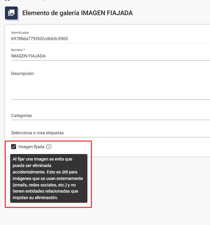 Detalle de imagen fijada en Plugcore 2.17.0 Configuración de imagen fijada en Plugcore